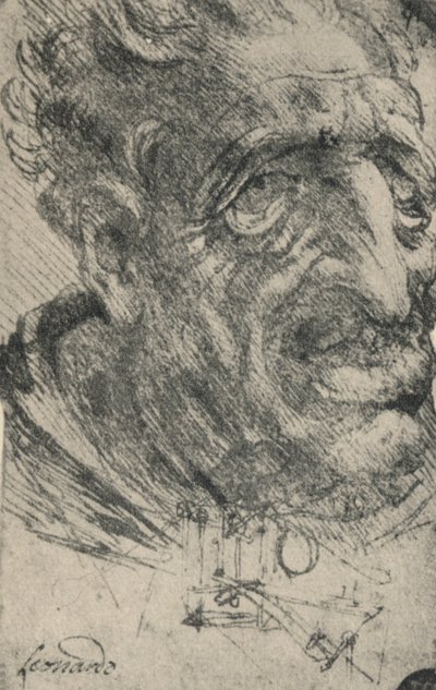 Groteskowa głowa mężczyzny obróconego o trzy czwarte w prawo, ok. 1480 1945 r. autorstwa Leonardo da Vinci