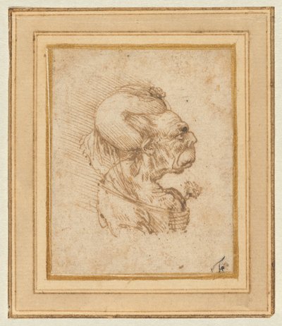 Groteskowa głowa starej kobiety autorstwa Leonardo da Vinci
