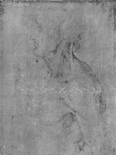 Głowa i popiersie starego człowieka po lewej, c1480 1945 autorstwa Leonardo da Vinci