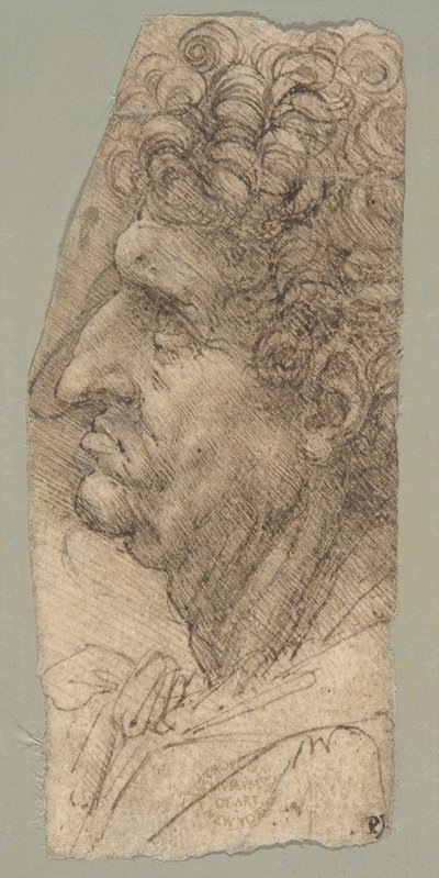 Głowa mężczyzny widziana z profilu, zwrócona w lewo autorstwa Leonardo da Vinci