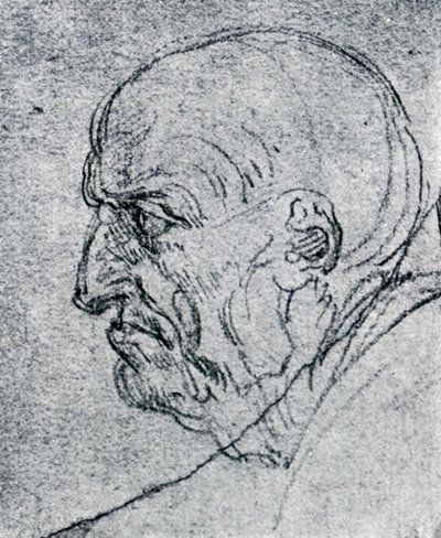 Głowa starego człowieka, 1913 autorstwa Leonardo da Vinci