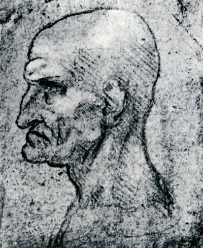 Głowa starego człowieka, 1913 autorstwa Leonardo da Vinci