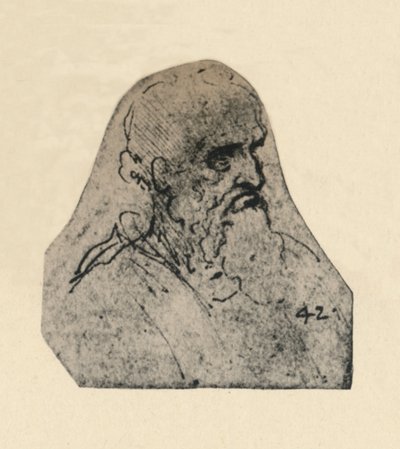 Głowa starca zwróconego w prawo, ok. 1480 1945 r. autorstwa Leonardo da Vinci