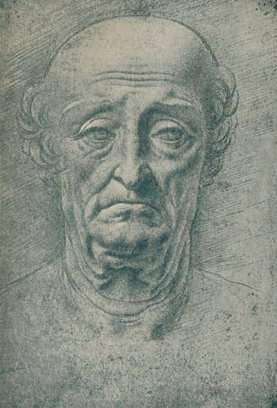 Głowa starego człowieka, ok. XV w., 1932 r. autorstwa Leonardo da Vinci