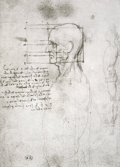 Głowa starego człowieka w profilu, kopia faksymile (pióro i atrament na papierze) autorstwa Leonardo da Vinci