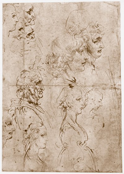 Głowy dziewcząt, młodych i starych mężczyzn, 1478-1480 autorstwa Leonardo da Vinci