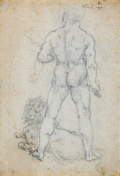Herkules i lew nemejski, ok. 1930 r. 1506-08 (węgiel i metalowa końcówka na białym papierze) autorstwa Leonardo da Vinci