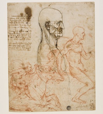Popiersie ludzkie z profilu ze studium proporcji, ok. 1490-1499. autorstwa Leonardo da Vinci