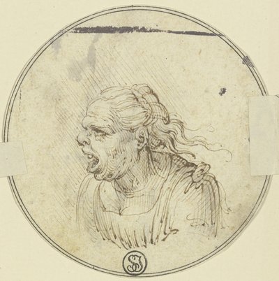 Karykatura kobiety z otwartymi ustami, portret od pasa w górę, w profilu w lewo autorstwa Leonardo da Vinci