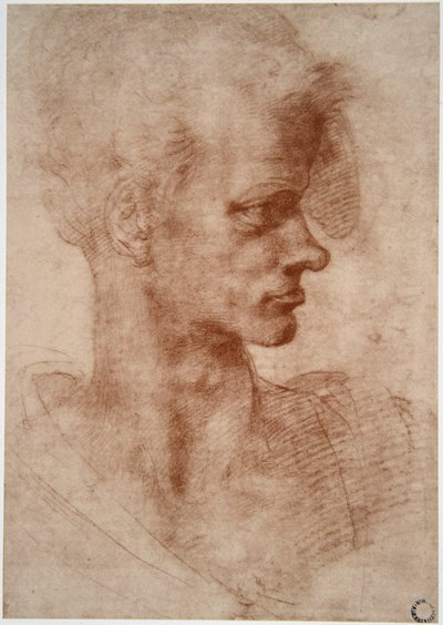 Leonardo da Vinci (Leonardo da Vinci) (1452 - 1519): Karykaturalny portret młodego mężczyzny (Imagine) autorstwa Leonardo da Vinci