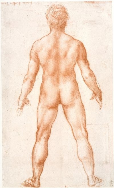 Akt męski od tyłu autorstwa Leonardo da Vinci