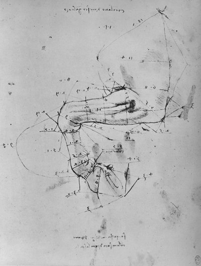 Mierzony rysunek w pobliżu przedniej łapy konia, c1480 1945 autorstwa Leonardo da Vinci