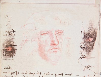Notatki o zmianach kierunku w locie, strona rękopisu z Codici Rari III 35.2, fol. 10v z Traktatu o locie ptaków, 1505 (pióro i atrament na papierze) autorstwa Leonardo da Vinci