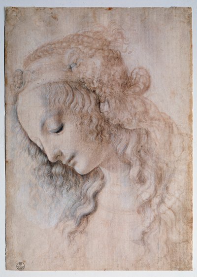 Portret dziewczyny - rysunek autorstwa Leonardo da Vinci