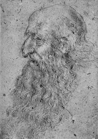 Profil starego brodatego mężczyzny po lewej stronie, ok. 1480 1945 r. autorstwa Leonardo da Vinci