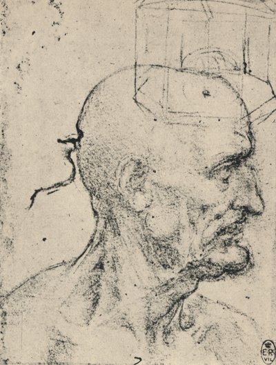 Profil po prawej stronie łysego mężczyzny, c1480 1945 autorstwa Leonardo da Vinci