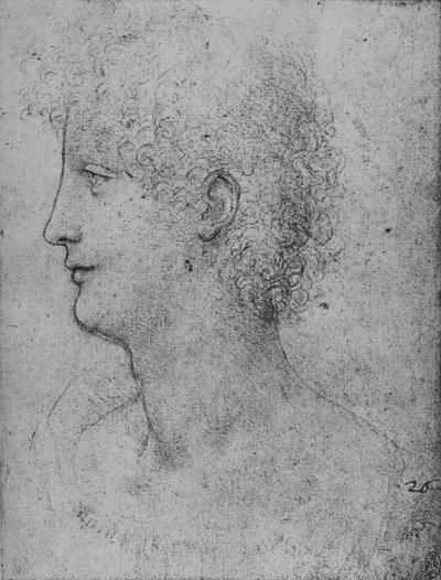 Profil po lewej stronie młodzieńca z kędzierzawą głową, c1480 1945 autorstwa Leonardo da Vinci