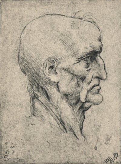 Profil po prawej stronie starszego łysego mężczyzny, c1480 1945 autorstwa Leonardo da Vinci