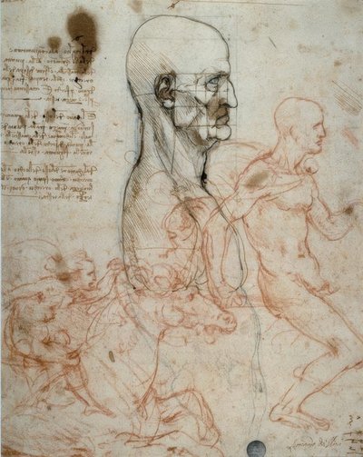Schemat proporcjonalny głowy człowieka i studia jeździeckie autorstwa Leonardo da Vinci