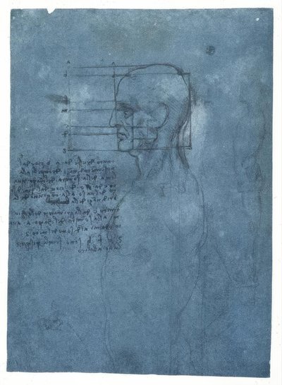 Studium proporcji głowy mężczyzny z profilu autorstwa Leonardo da Vinci
