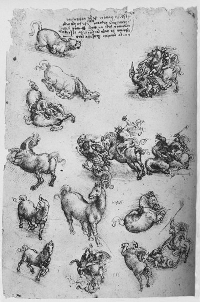 Arkusz Studiów o koniach, kotach i św. Jerzym i smoku, ok. 1480 1945 r. autorstwa Leonardo da Vinci