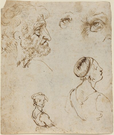Arkusz studiów [recto] autorstwa Leonardo da Vinci