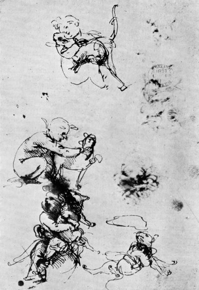 Studia dla Madonny Del Gatto, XV w. 1930. autorstwa Leonardo da Vinci