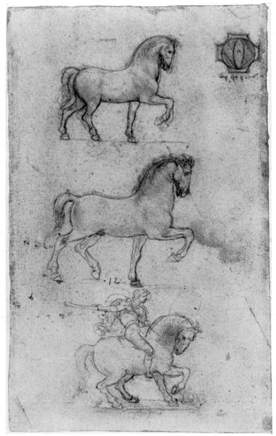 Studia do pomnika Trivulzio, ok. 1508 1954. autorstwa Leonardo da Vinci