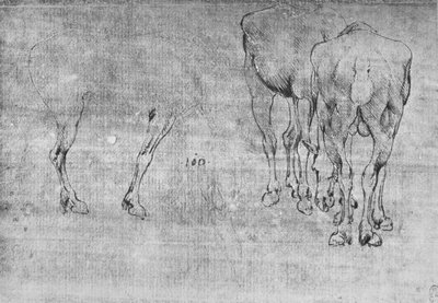 Badania wypasu koni, ok. 1480 1945 r. autorstwa Leonardo da Vinci