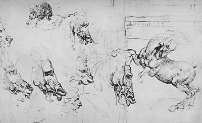 Badania głów koni i konia hodowlanego, ok. 1480 1945 r autorstwa Leonardo da Vinci