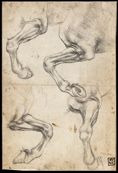 Badania nad końmi Leg autorstwa Leonardo da Vinci