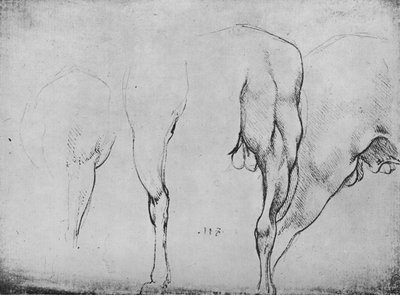 Badania nóg koni, ok. 1480 1945 r autorstwa Leonardo da Vinci