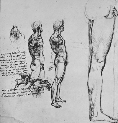 Studia aktów i mniejszy szkic bitwy, ok. 1480 1945 r autorstwa Leonardo da Vinci