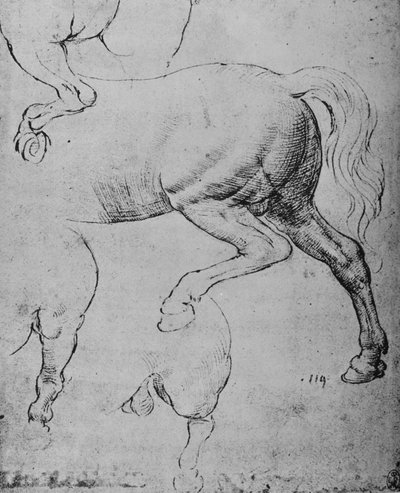 Badania ćwiartek tylnych i łap tylnych konia, ok. 1480 1945 r autorstwa Leonardo da Vinci