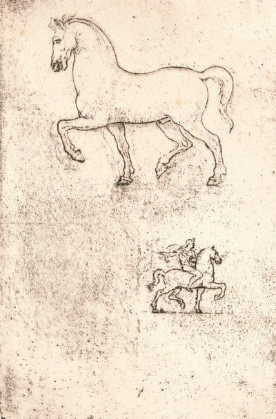 Studium do pomnika Sforzów, c1482-c1499 1883 autorstwa Leonardo da Vinci