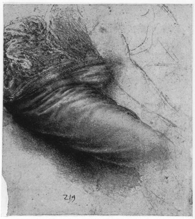 Studium szaty dla św. Anny, 1503-1517 1954 autorstwa Leonardo da Vinci