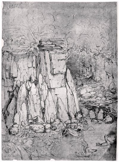 Studium jaskini skalnej z kaczkami, 1482-1485 1954 autorstwa Leonardo da Vinci