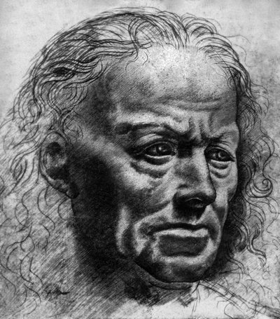 Ilmaisukiillotuksen tutkimus autorstwa Leonardo da Vinci