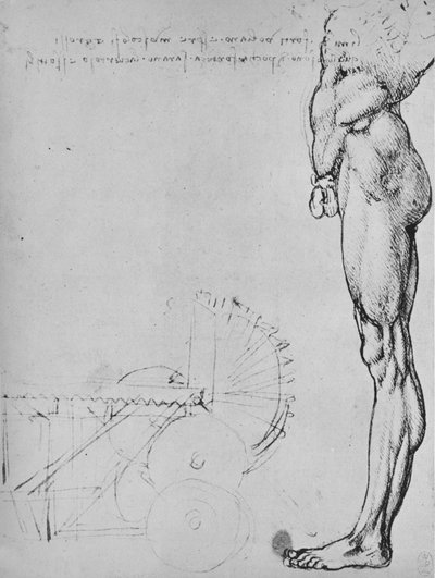 Studium dolnej połowy człowieka i maszyn, ok. 1480 1945 r autorstwa Leonardo da Vinci