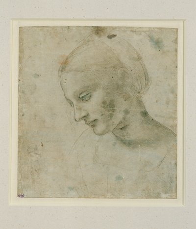 Głowa kobiety prawie z profilu ... autorstwa Leonardo da Vinci