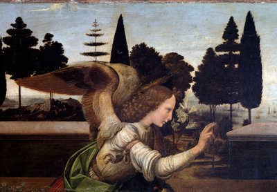 Zwiastowanie, fragment Anioła - olej na drewnie autorstwa Leonardo da Vinci