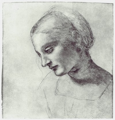 Głowa Madonny, c1484-1486 autorstwa Leonardo da Vinci