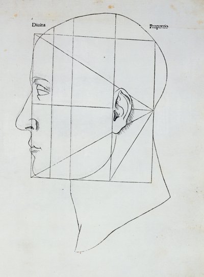 Głowa ludzka, ilustracja do „Divina Proportione” Luca Pacioli (1445-1517), 1509 autorstwa Leonardo da Vinci