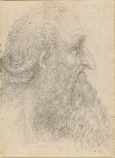 Głowa starego brodatego mężczyzny, ok. 1517 r. autorstwa Leonardo da Vinci