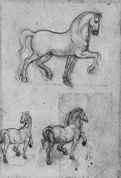 Trzy badania koni, ok. 1480 1945 r autorstwa Leonardo da Vinci