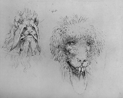 Dwie głowy potworów, ok. 1480 1945 autorstwa Leonardo da Vinci