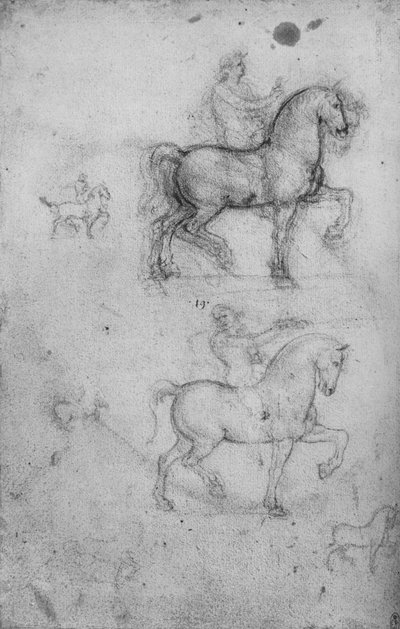 Dwa badania koni i jeźdźców oraz mniejsze badania koni, ok. 1480 1945 r autorstwa Leonardo da Vinci