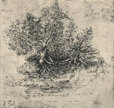 Dwa drzewa nad brzegiem potoku, ok. 1480 1945 autorstwa Leonardo da Vinci