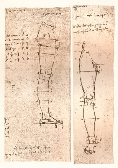 Dwa rysunki ilustrujące teorię proporcji postaci ludzkiej, c1472-c1519 1883 autorstwa Leonardo da Vinci