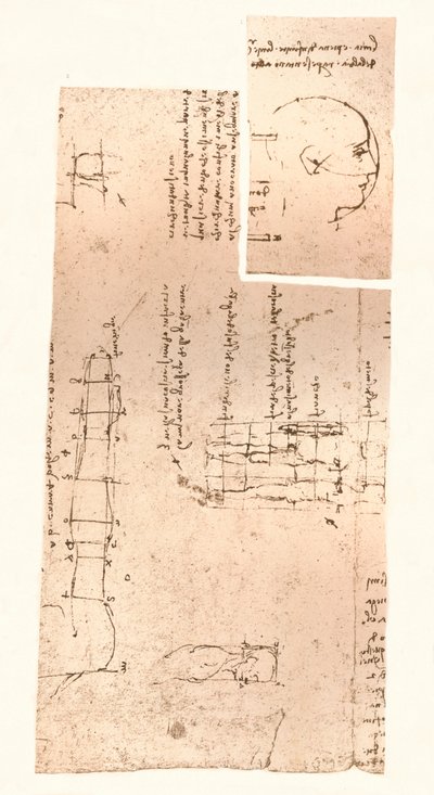 Dwa rysunki ilustrujące teorię proporcji postaci ludzkiej, c1472-c1519 1883 autorstwa Leonardo da Vinci